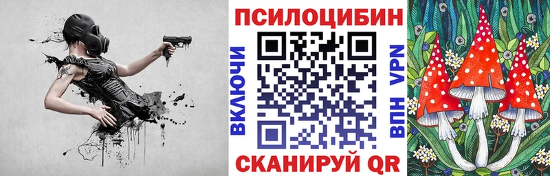 Псилоцибиновые грибы Psilocybe Тамбов