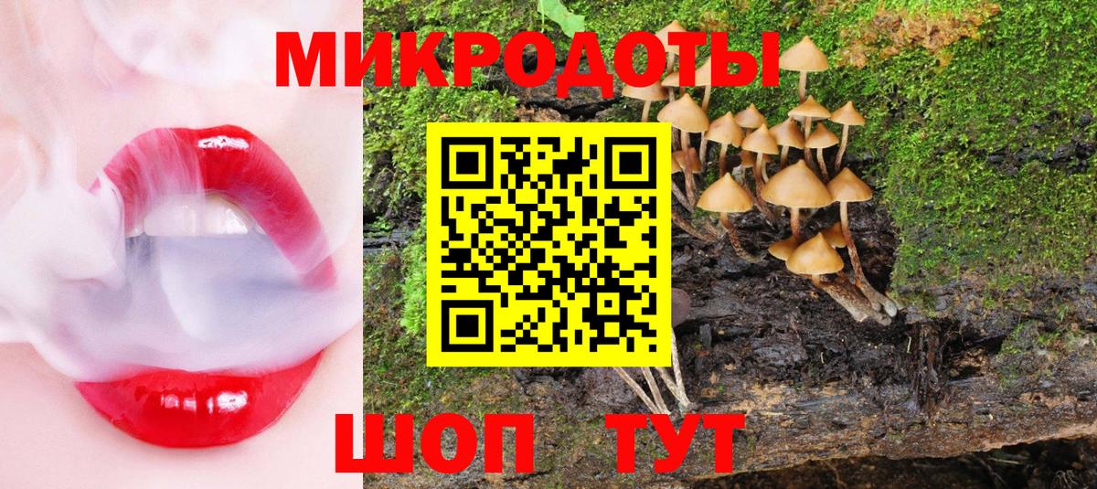 Галлюциногенные грибы Magic Shrooms Тамбов