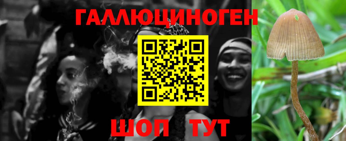 Тамбов  Псилоцибиновые грибы MAGIC MUSHROOMS  что такое   Вход с VPN 