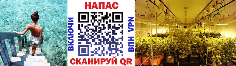сайты даркнета официальный сайт  Тамбов  МАРИХУАНА сатива  где купить наркоту 